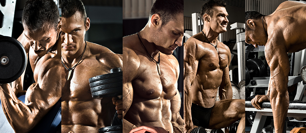 ROCK ELITE ALL IN ONE PHERO TECH NUTRITION herotechnutrition.com