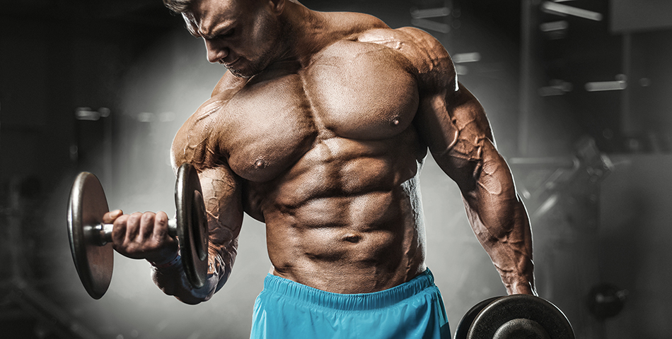 ROCK ELITE ALL IN ONE PHERO TECH NUTRITION herotechnutrition.com