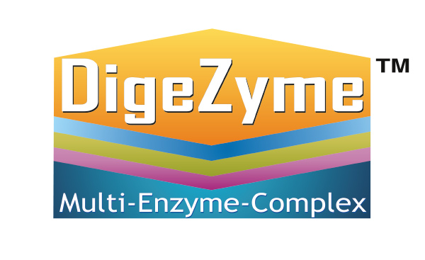 DIGEZYME HERO TECH
